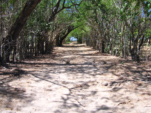 Path