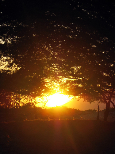 sunset 2