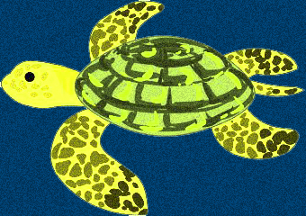 TurtlePaint